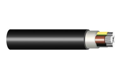 Image of U-1000 AR2V cable